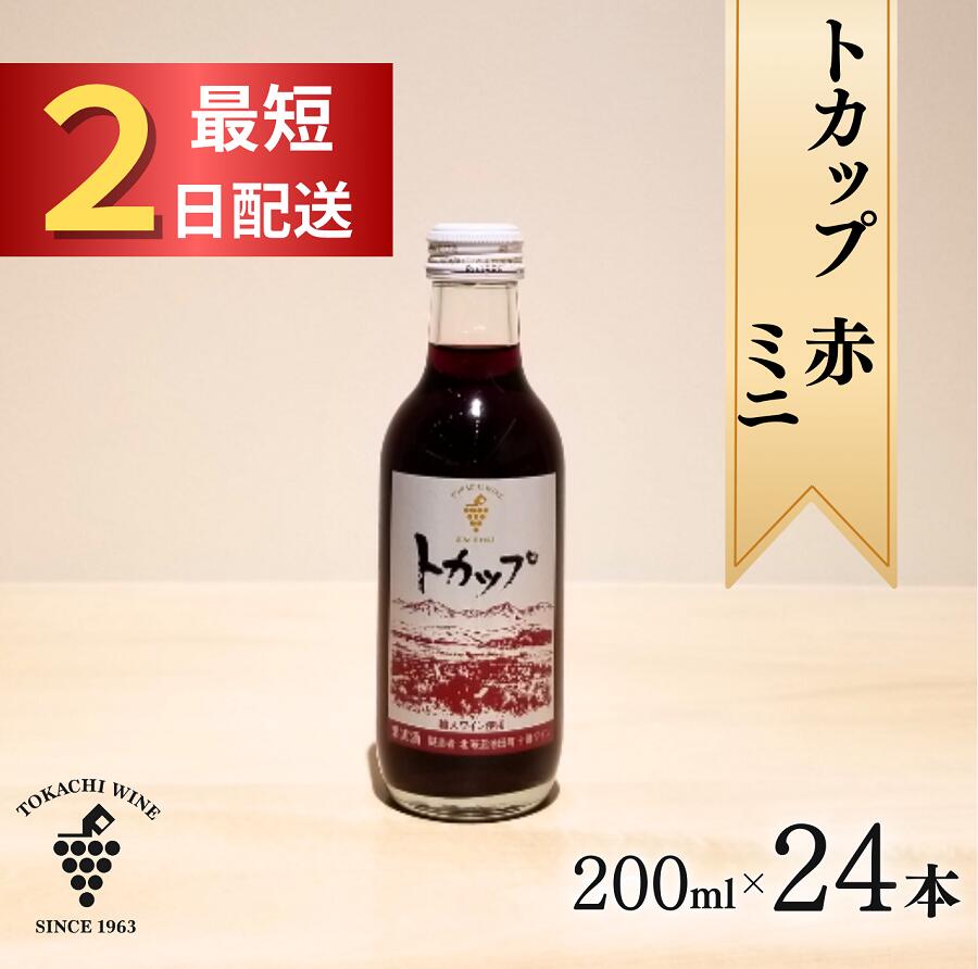 【ふるさと納税】十勝ワイン トカップ赤ミニ 200ml×24本 最短申込みから2日発送 北海道池田町 ふるさと納税 送料無料 飲み切りサイズ ワインセット