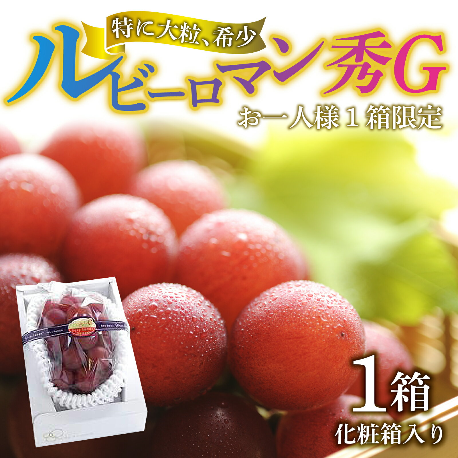 【ふるさと納税】【先行予約】【2025年収穫分】ルビーロマン秀G1箱 化粧箱入り 贈答にも 石川県最高峰ぶどう｜希少 貴重 数量限定 ぶどう ブドウ 葡萄 種なし ジューシー 甘い 大粒 大きい 宝石 るびー ギフト かほく市 能登 入口