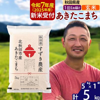 ふるさと納税 北秋田市 R7年産 新米受付 秋田県産 あきたこまち 5kg【玄米】1回のみ|szap-20301