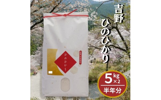 【6回定期便】 奈良県産 ひのひかり10kg (5kg×2袋)  奈良県吉野町/川本米穀店[BRBN007] 白米 米 お米 kome コメ おこめ ヒノヒカリ はくまい こめ 単一原料米 ブランド米 ご飯 ライス 送料無料 定期便