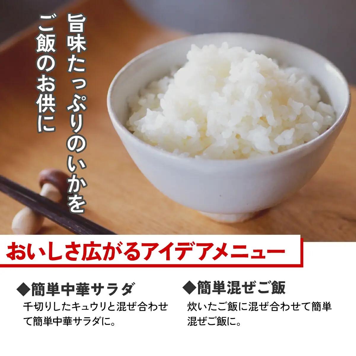 味一番 中華いか山菜　500g×4パック_魚介・海産物 イカ  いか 烏賊  魚介・海産物   _【配送不可地域：離島】【1223019】