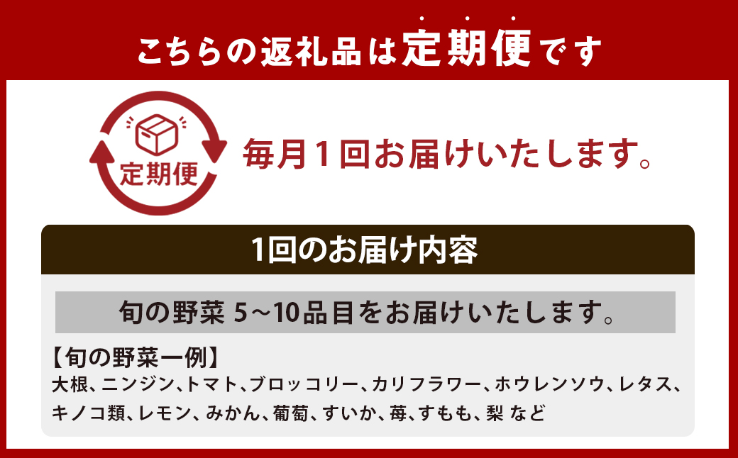 【全6回定期便】 農産物直売所おすすめ！ 旬野菜 セット 5〜10品目 ／ やさい 旬 野菜 詰合せ 詰め合わせ 新鮮 産地直送 ふるさと おまかせ お楽しみ きんかい味彩市 長崎県 長崎市