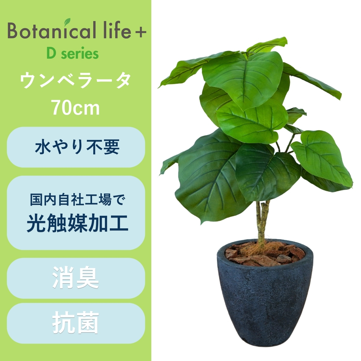 フェイクグリーン Botanical life+ Dシリーズ ウンベラータ 70cm 光触媒加工 鉢付き （鉢： 石造り風 ダークロック） インテリア 抗菌 消臭 愛知県 豊橋市 送料無料 41000