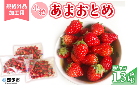 先行予約＜訳あり いちご あまおとめ 約1.3kg 小粒 加工用 冷蔵 規格外品＞ 国産 サイズ 小粒 詰め合わせ アマオトメ 訳あり 訳アリ フルーツ 果物 苺 いちご イチゴ シャーベット スムージー りの果樹園 愛媛県 西予市【冷蔵】『2026年4月～6月迄に順次出荷予定』URK0012