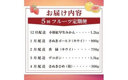 旬のフルーツ定期便 5回 Aコース フルーツ 定期便