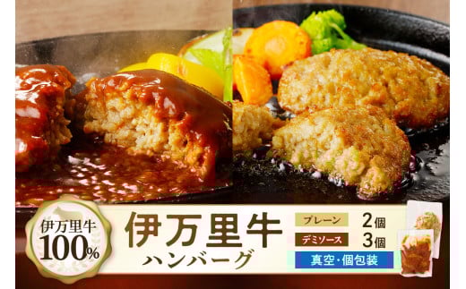 【伊万里牛100％使用】 ハンバーグ セット（プレーン2個＆デミ3個） J1244