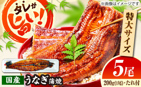国産活うなぎ蒲焼（5本入）[AICQ011]