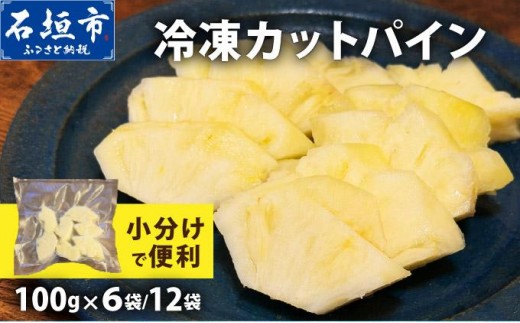 
                  袋をあければそこは南国！完熟パインをカットして小分けでお届け！ 冷凍カットパイン 100g×6袋〜12袋 | スナックパイン ピーチパイン ジュワリーパイン てとの黄金パイン ゴールドバレル サンドルチェ アソート 南国 フルーツ 沖縄県 石垣市 石垣島 TF-103-TF-110
                