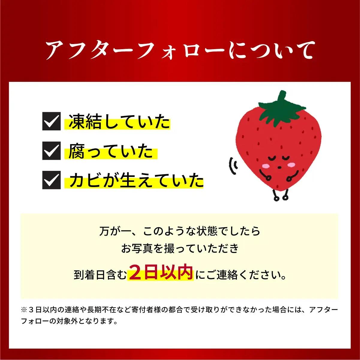 いちご 3～6品種 食べ比べ 計6パック いちご