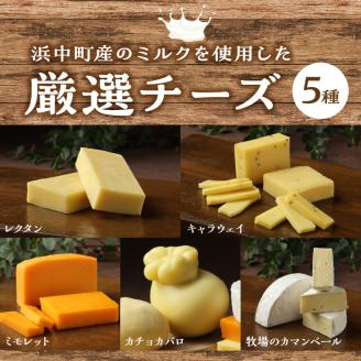 厳選チーズセットとチーズ工房のピザ3種詰め合わせ_H0003-004