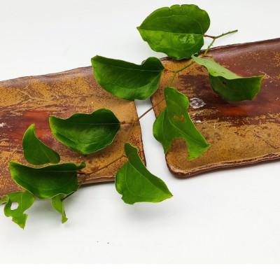 ふるさと納税 備前市 備前焼たたき皿2枚セット(登り窯)