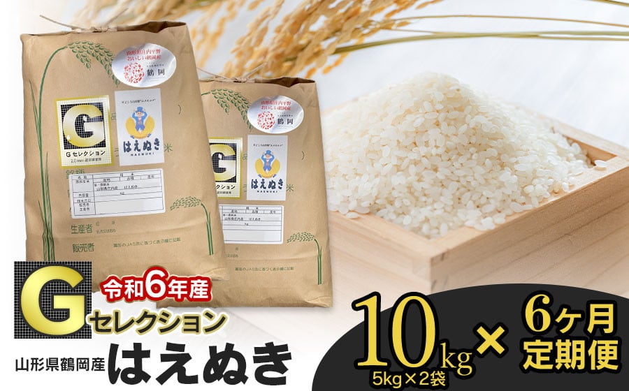 
【令和6年産】【定期便6ヶ月】 Gセレクション はえぬき 精米 10kg (5kg×2袋)×6ヶ月 山形県鶴岡市産 K-637　鶴岡地区物産協同組合
