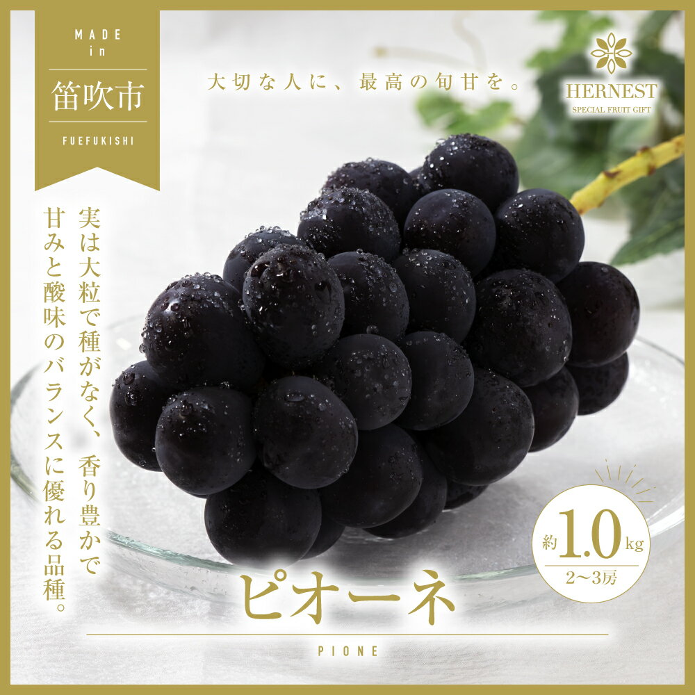 【ふるさと納税】＜25年発送先行予約＞山梨県笛吹市産　旬の採れたてピオーネ　約1kg　2〜3房 ふるさと納税 おすすめ ランキング ピオーネ 笛吹市 国産 人気 期間限定 ぶどう ブドウ 葡萄 旬 果物 フルーツ 山梨県 送料無料 105-014