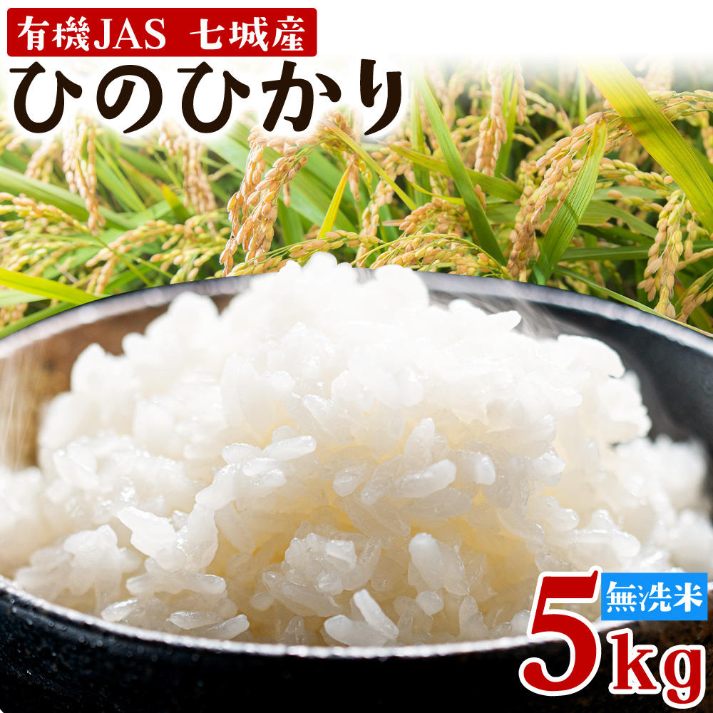 令和7年産 有機JAS 七城産ひのひかり 無洗米 5kg 《30日以内に出荷予定(土日祝除く)》渡辺農産熊本県 菊池市 米 お米 精米 ひのひかり 菊池市産 熊本県産 九州産 送料無料---171-1913---