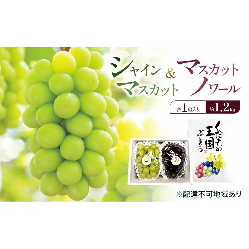 ぶどう 詰合せ シャインマスカット マスカットノワール 岡山県産 ぶどう 詰合せ【約1.2kg各1房】【先行予約】