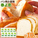 【ふるさと納税】北海道十勝前田農産パン用小麦粉「春よ恋」1kg×10袋 計10袋 有限会社 十勝太陽ファーム 送料無料 北海道 本別町《60日以内に順次出荷(土日祝除く)》北海道 本別町 パン 小麦粉 小麦 10kg 送料無料