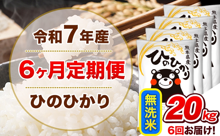 
                   令和7年産 【6ヵ月定期便】 無洗米 ひのひかり 定期便 20kg 5kg×4袋《お申込み翌月から出荷》 熊本県産 精米 ひの 米 こめ ヒノヒカリ コメ お米
                