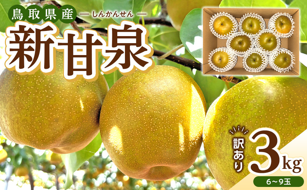 1255.【2026年度発送先行予約】訳あり　新甘泉　3kg