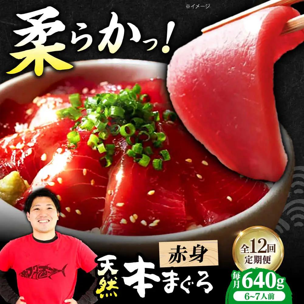 【全12回定期便】たね熟天然本まぐろ赤身(640g) [AOCE018] まぐろ