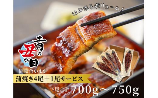 三河産うなぎ「蒲焼大サイズ4尾+1尾(計700～750g)」【土用の丑の日】・A202-c1