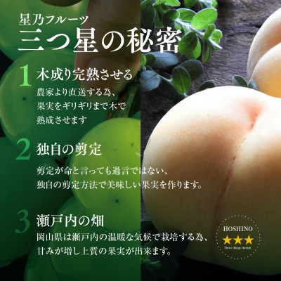 【発送月固定定期便】【人気セット】星乃フルーツ 桃+シャインマスカット全2回【配送不可地域：離島・北海道・沖縄県】