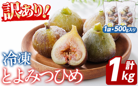 訳あり！冷凍 いちじく とよみつひめ (計1kg・500g×2袋) 冷凍 いちじく イチジク フルーツ 果物 くだもの 福岡限定 オリジナルブランド シャーベット コンポート パンケーキ 訳アリ 真空パック 小分け 【農産物直売所ほたるの里】as52-015