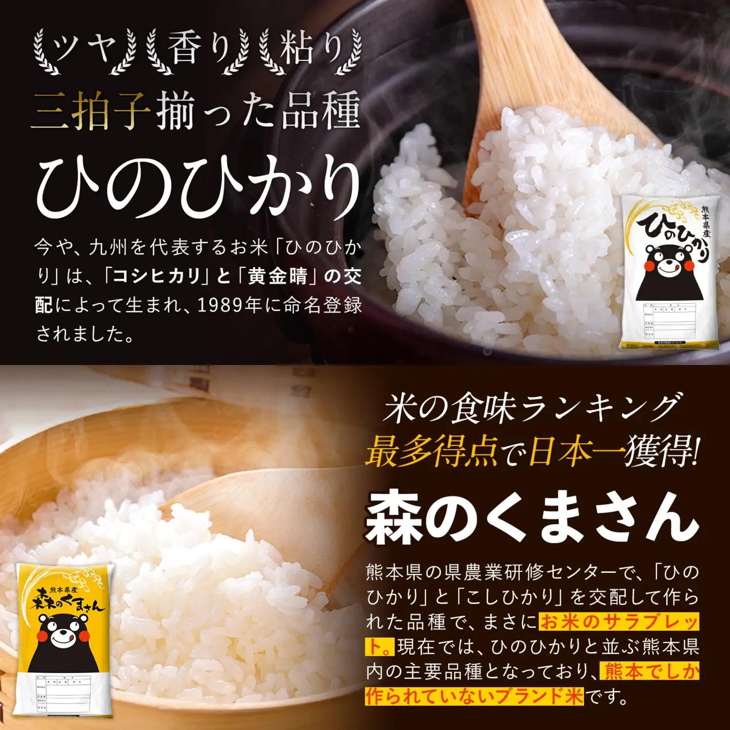 無洗米 令和7年産 ひのひかり 森のくまさん 10kg 無洗