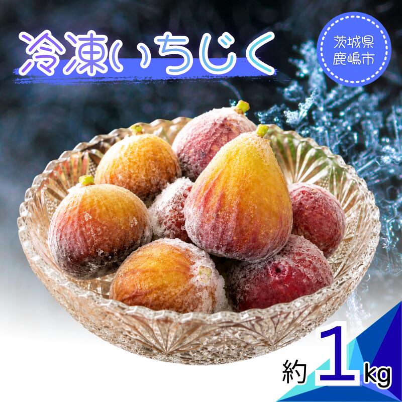【ふるさと納税】 いちじく 冷凍いちじく フローズンいちじく 約1kg 無花果 冷凍 ご褒美 いちぢく 送料無料 ドーフィン フルーツ fig 果物 半解凍 くだもの ひんやり ご家庭 朝食 モーニング 芳醇 アレンジ とろり 甘み 産地直送 国産 お取り寄せ 消化促進 茨城県 鹿嶋市