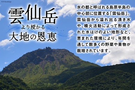 旬の野菜・フルーツセット 【太陽卵6個付き】 13品目から15品目の豪華セット [item0098 長崎県 雲仙市] 野菜 フルーツ くだもの 卵 たまご