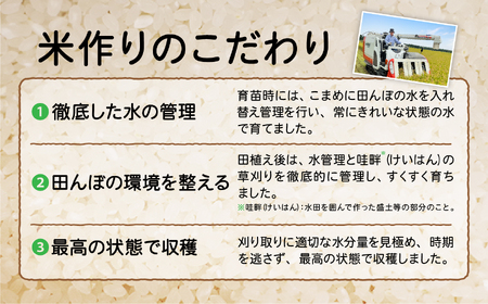 青森県 六ケ所村産 まっしぐら 精米 10kg（橋本利喜雄）
