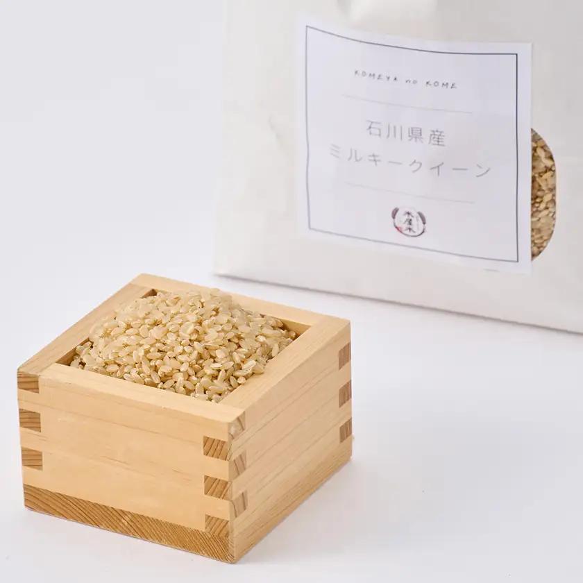 【もちもち食感が人気】石川県野々市市産ミルキークイーン令和7年産玄米3kg【1685058】
