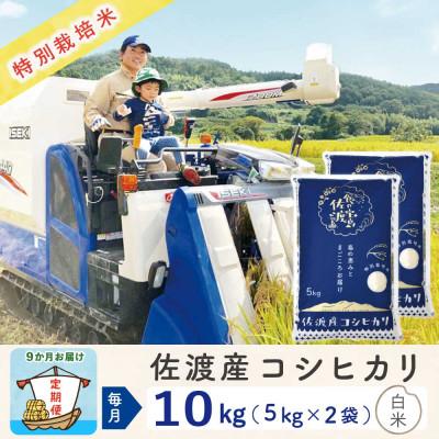 ふるさと納税 佐渡市 【毎月定期便】佐渡島産コシヒカリ 白米10Kg(5Kg×2袋)  特別栽培米 農家直送全9回