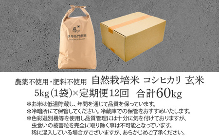 【先行予約】【令和7年産 新米】【定期便12回】伊与衛門農園の自然栽培コシヒカリ玄米 5kg×12回  伊与衛門農園の特別栽培米 ＜温度と湿度を常時管理し新鮮米を出荷！＞ / 米 自然の力 高品質 鮮