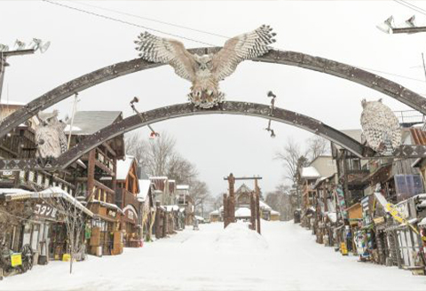 北海道釧路市（阿寒湖エリア）ANAトラベラーズホテル割引クーポン（15,000点） F4F-1716