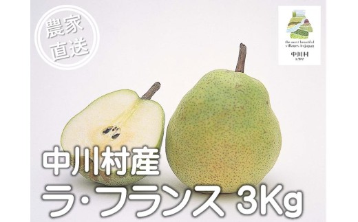中川村産西洋梨　ラ・フランス　約３Kg