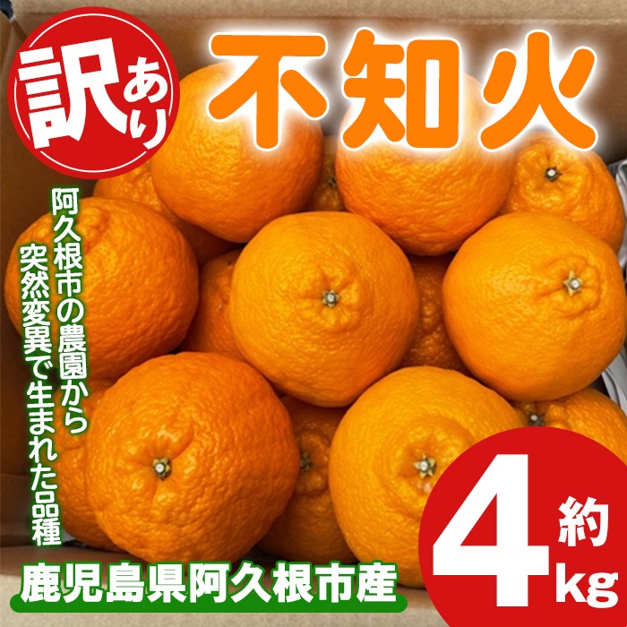 ＜先行予約受付中！2026年3月上旬以降順次発送予定＞訳あり！露地栽培の不知火(4kg：大将季) 国産 不知火 しらぬい 柑橘 果物 フルーツ デザート 露地 果実 期間限定 数量限定【古田果樹園】akn093-07