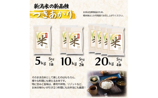 【令和8年産】つきあかり 5kg コシヒカリ こしひかり 同等以上の食味 ご飯 備蓄 コメ お米 米 こめ 新潟産 新潟米 新潟県 新潟 新発田 新発田市 国産 新発田市産 斗伸 toushin064