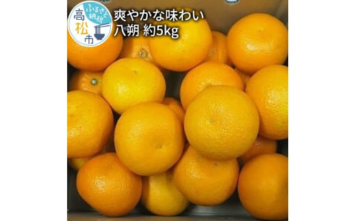 爽やかな味わい 八朔 約5kg【2025年2月中旬～2025年3月下旬配送】