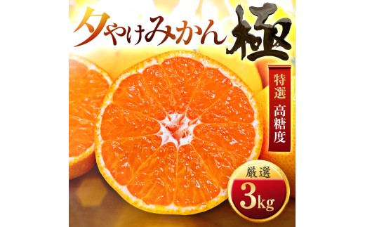 ＜甘みが濃縮されたみかん＞愛媛で育った夕やけみかん＜極＞3kg＜C49-25＞_ みかん 蜜柑 ミカン 愛媛みかん 愛媛 国産 箱 送料無料 農家直送 産地直送 柑橘 かんきつ 温州みかん 旬 フルーツ 果物 くだもの【1508877】 YWTZ017