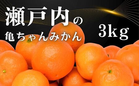 [11～2月発送] 亀ちゃん みかん 約3kg 国産 瀬戸内 広島 大崎上島 離島 糖度 濃厚 柑橘 たっぷり お裾分け 産地直送 亀田農園