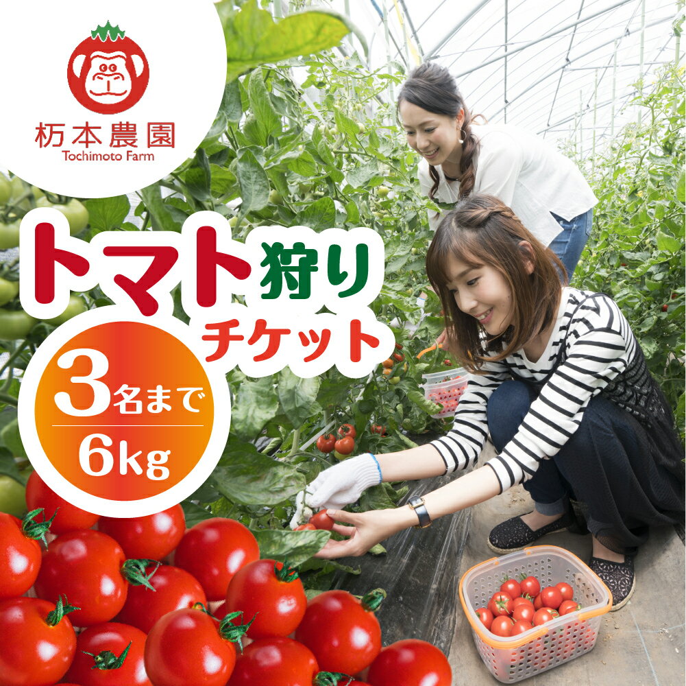 【ふるさと納税】2025年よりご利用可【期間限定】杤本農園 フルーツトマト狩りチケット 6kg プラン 1枚（3名まで） とまと トマト フルーツトマト チケット トマト狩り とまと狩り 32000円