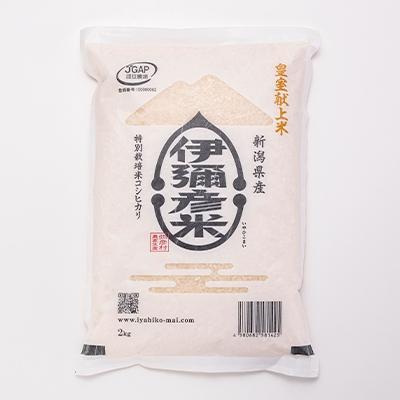 ふるさと納税 弥彦村 【伊彌彦米とパックごはんセット】精米2kg×2袋 パックごはん4パック ブランド米 新潟県 弥彦村 |  | 01