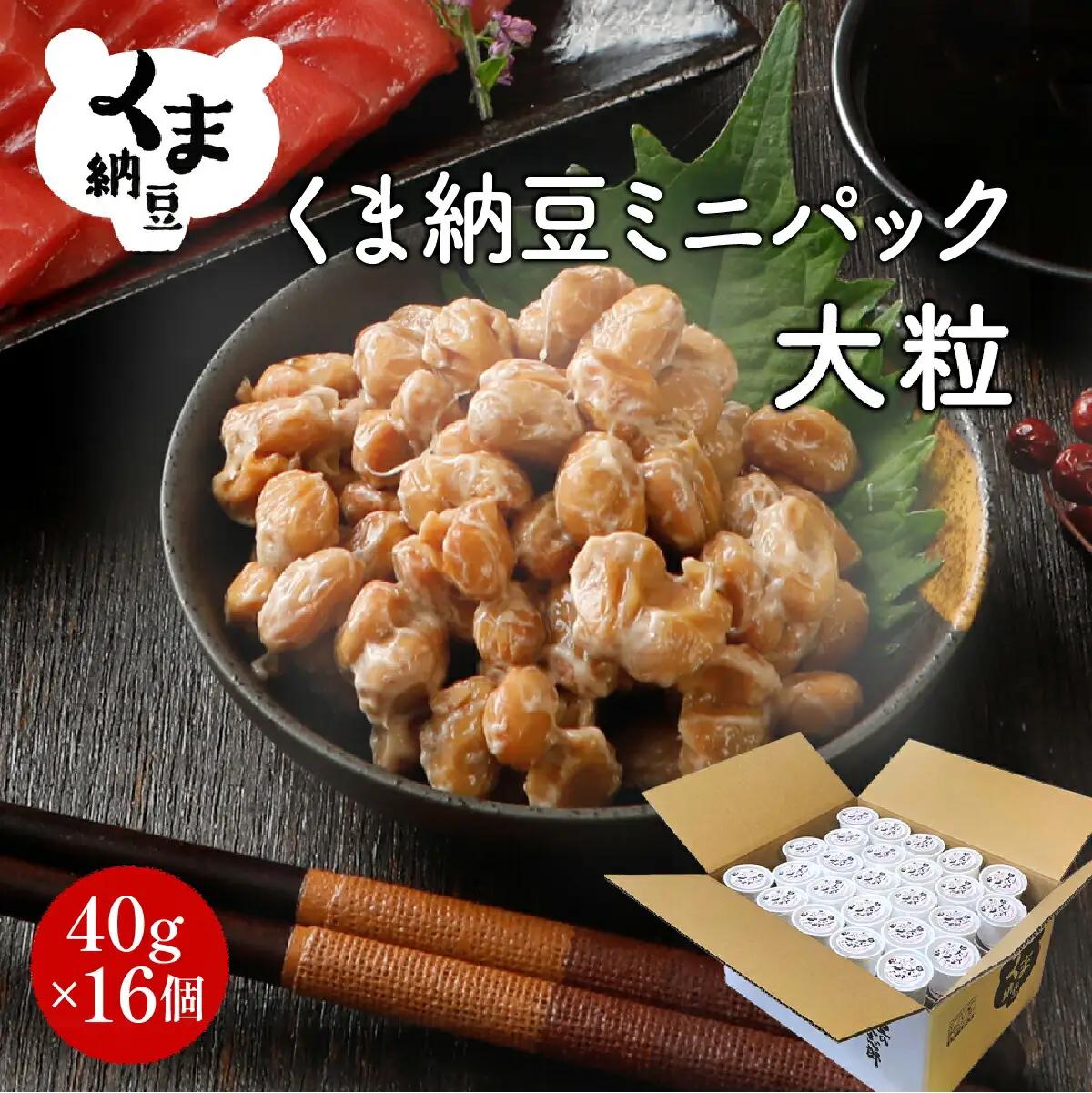 北海道くま納豆ミニカップ 大粒 16個 《順次発送》 国産 なっとう ナットウ 高級 大豆 厳選 老舗 栄養 発酵 ふるさと納税 北海道 登別市