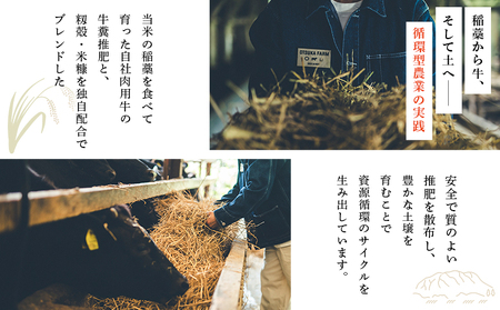 ＜令和7年産 岩瀬川清流米 コシヒカリ 3kg＞ 3キロ こしひかり お米 コメ こめ 白米 精米 ご飯 穀物 鮮度 特産品 愛媛県産 西予市産 宇和町産 OTSUKAFARM 愛媛県 西予市 【常温
