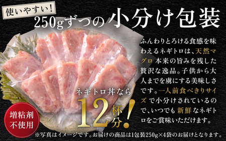 ふわとろネギトロ粗挽き＋ネギトロ専用の特選だし醤油（ミニ）５袋セット付き【天然マグロ使用】