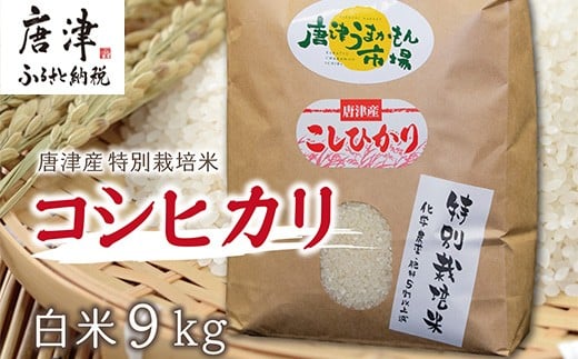 唐津産のコシヒカリは『特別栽培米』！コシヒカリ9kg、ギフト・贈りものに最適。