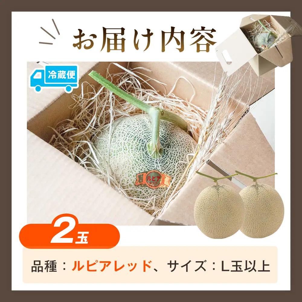 【R8年収穫分】【数量限定】さのさん家のメロン（L玉以上）２玉 湧き水栽培 さの農場 | 北海道津別町