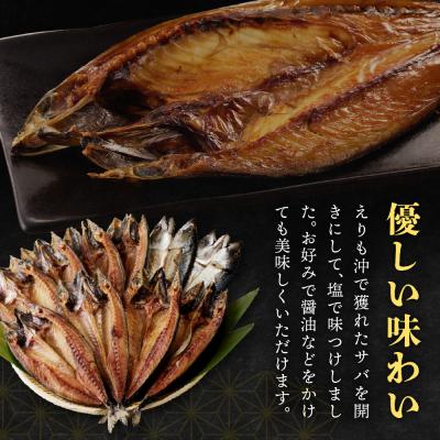 ふるさと納税 えりも町 えりも【マルデン特製】塩サバ 200g以上×10枚【er002-040-a】 |  | 01