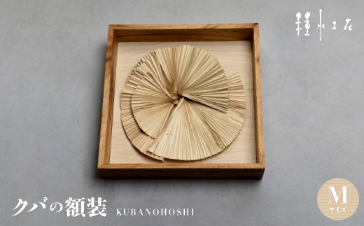 
                  クバの額装KUBANOHOSHI(白木目)Mサイズ【1502325】
                