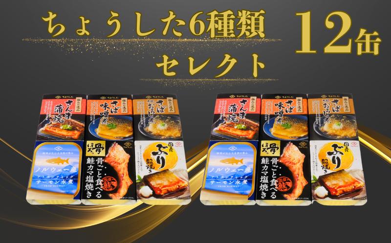 
缶詰 6種 12缶セット ちょうしたセレクト さんま蒲焼 さば味噌煮 さば大根おろし煮 鮭カマ焼き サーモン水煮 ぶり照焼き 魚 国産 缶 缶 海産物 魚缶詰 備蓄品 保存食 簡単缶詰 長期保存 常温保存 缶詰 備蓄缶詰 防災 非常食 ローリングストック キャンプ アウトドア お取り寄せ グルメ 大容量 おかず 酒 のお供 アレンジレシピ セット ギフト 食品 送料無料 千葉県 銚子市 田原缶詰
